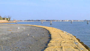 Naturalizzazione e riqualificazione Isola della Certosa