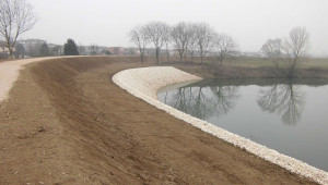 Security of the Bacchiglione River embankment