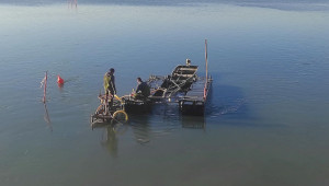 Recalibration of the seabed beneath the Ponte della Libertà